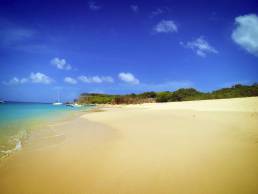 tintamarre island