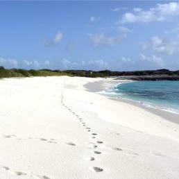 Yacht charter to Scrub Island